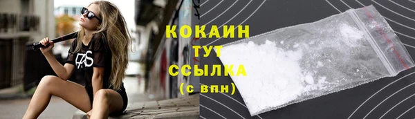 герыч Тайга